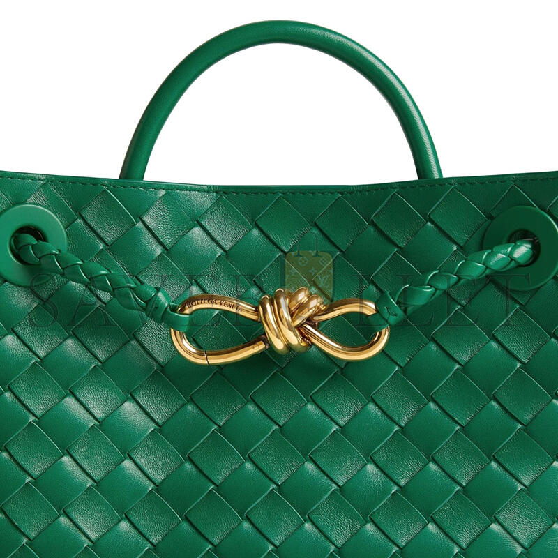 BOTTEGA VENETA SMALL ANDIAMO 743568 (25*22*10.5cm)